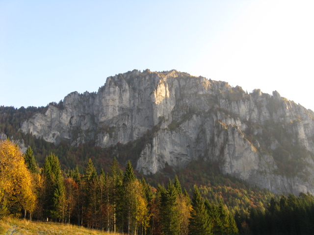 Cimon de Cajada: sulle tracce dei camosci.